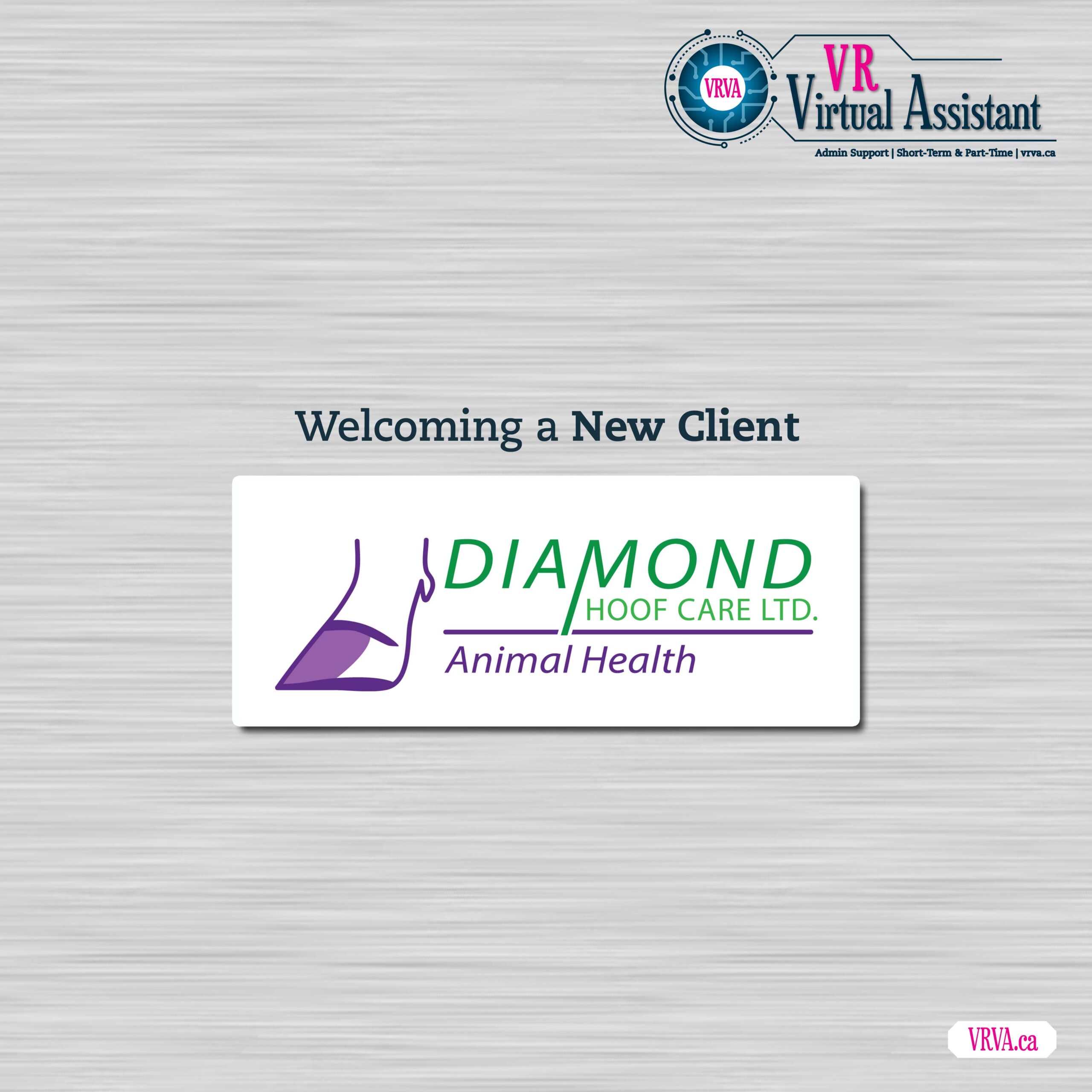 Diamond Hoof Care